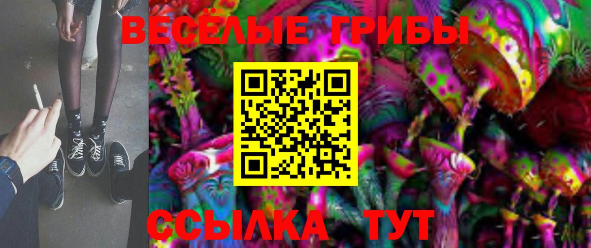 Псилоцибиновые грибы Cubensis Симферополь